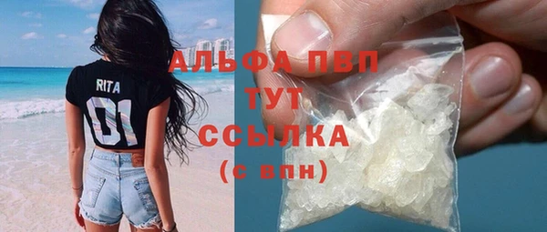 стафф Тольятти