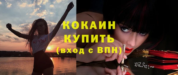 ПСИЛОЦИБИНОВЫЕ ГРИБЫ Магас