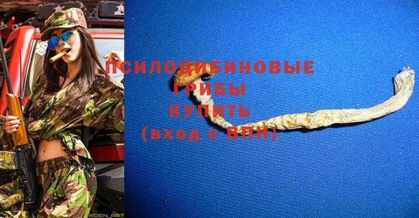 хмурый Майский