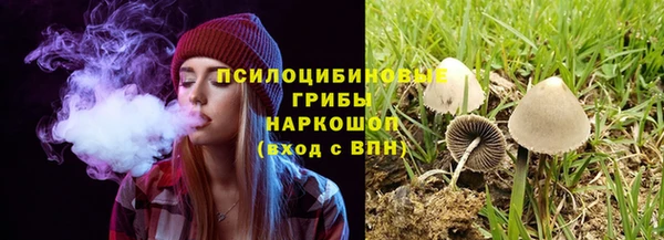 ПСИЛОЦИБИНОВЫЕ ГРИБЫ Магас