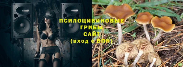 ПСИЛОЦИБИНОВЫЕ ГРИБЫ Магадан