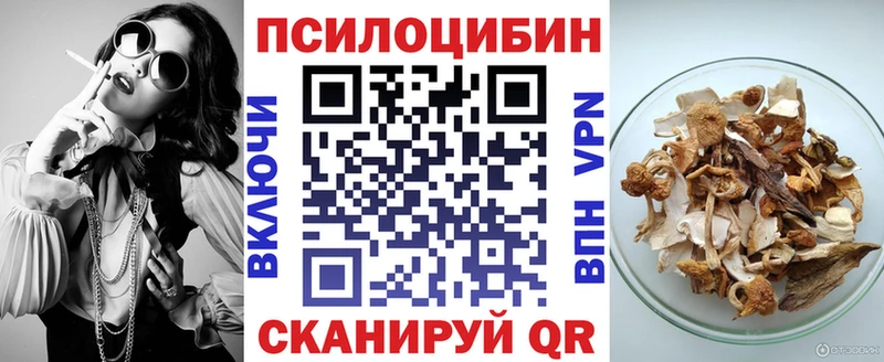 Купить где  Красавино  Галлюциногенные грибы Psilocybine cubensis 